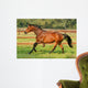 Pferd - Galopp Wall Mural