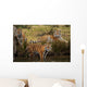 Siberian Tiger Cubs Wall Mural