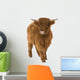 Young Highland Cow Wall Decal