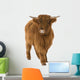 Young Highland Cow Wall Decal
