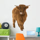Young Highland Cow Wall Decal