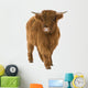Young Highland Cow Wall Decal