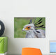 Secretary Bird Wall Mural