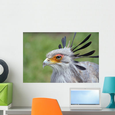 Secretary Bird Wall Mural shown on a wall