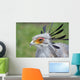 Secretary Bird Wall Mural
