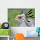 Secretary Bird Wall Mural