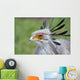 Secretary Bird Wall Mural
