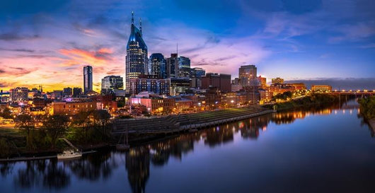 Nashville Skyline Wall Decal