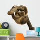 Baby Two-Toed Sloth Wall Decal