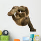 Baby Two-Toed Sloth Wall Decal