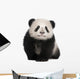 Giant Panda 6 Months Wall Decal