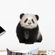 Giant Panda 6 Months Wall Decal