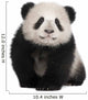 Giant Panda 6 Months Wall Decal