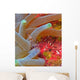 Spotted Cleaner Shrimp Wall Decal