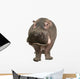 Hippopotamus - Hippopotamus Amphibius 30 Years Wall Decal