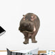 Hippopotamus - Hippopotamus Amphibius 30 Years Wall Decal