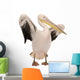 White Pelican - Pelecanus Onocrotalus 18 Months Wall Decal