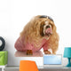 Funny Dog Dressed in Drag Wall Decal