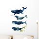 Sea Animals Watercolor Whales Wall Decal Sticker Set