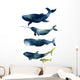 Sea Animals Watercolor Whales Wall Decal Sticker Set