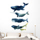 Sea Animals Watercolor Whales Wall Decal Sticker Set