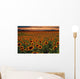 Sunflower Field Sunset with Wall Mural