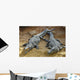Crocodiles Wall Mural