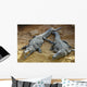 Crocodiles Wall Mural