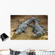 Crocodiles Wall Mural