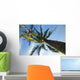 palm tree Wall Mural