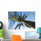 palm tree Wall Mural