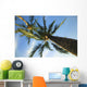 palm tree Wall Mural