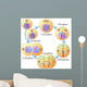 Mitosis and cell cycle Wall Mural