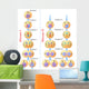 Meiosis of germ cells Wall Mural