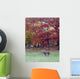 Whitetail Buck and Fall Colors Wall Mural