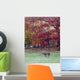 Whitetail Buck and Fall Colors Wall Mural
