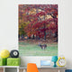Whitetail Buck and Fall Colors Wall Mural