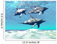 DOLPHINS Wall Mural