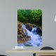 Parod River Israel Wall Mural
