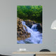 Parod River Israel Wall Mural
