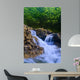 Parod River Israel Wall Mural