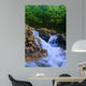 Parod River Israel Wall Mural