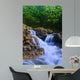Parod River Israel Wall Mural