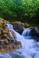 Parod River Israel Wall Mural