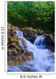 Parod River Israel Wall Mural