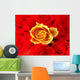bunch of red roses with one single yellow one Wall Mural