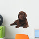 Chocolate Puppy Labrador Wall Decal