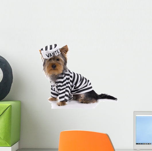 jail house rock Wall Decal