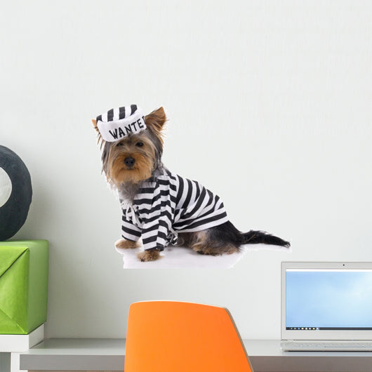 jail house rock Wall Decal