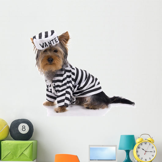 jail house rock Wall Decal